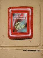 /album/fotogaleria/a317358-192951650778242-100001902264387-478560-1790188259-n-jpg/