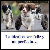 /album/fotogaleria/a387357-334931179862059-130109520344227-1219585-251795968-n-jpg/