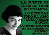 /album/fotogaleria/a387772-225271570879583-100001902264387-584701-276332928-n-jpg/