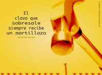 /album/fotogaleria/clavo-jpg/