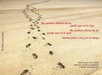 /album/fotogaleria/nocamines-jpg/